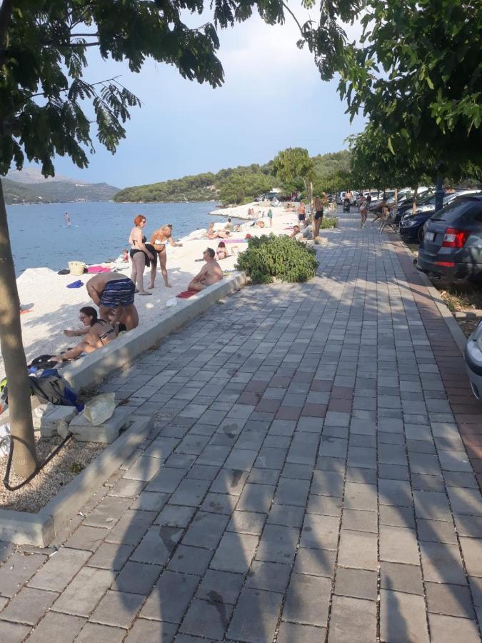 Roza 1 * Marina