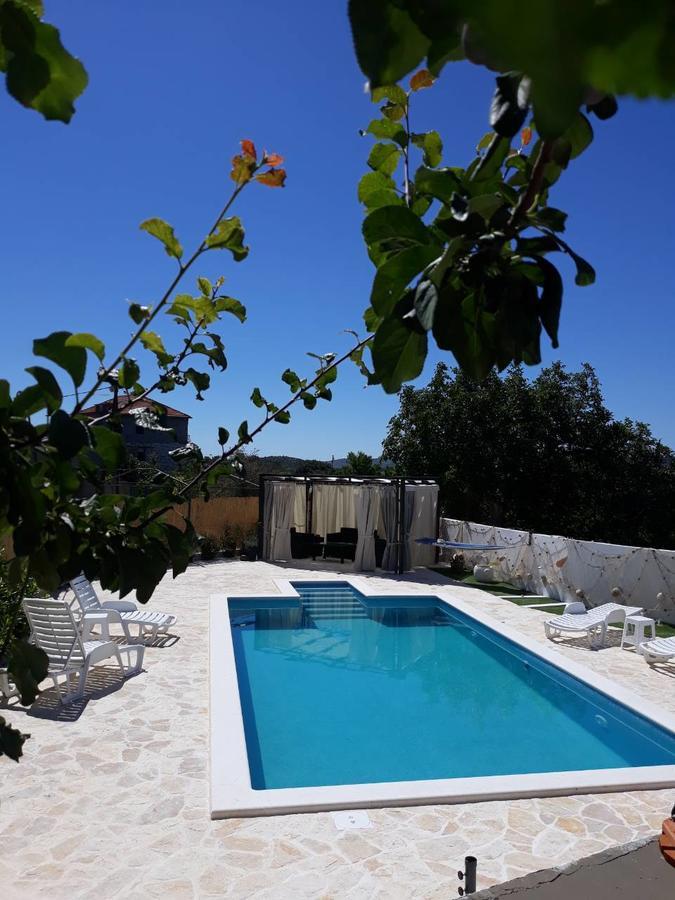 Apartment Roza 1